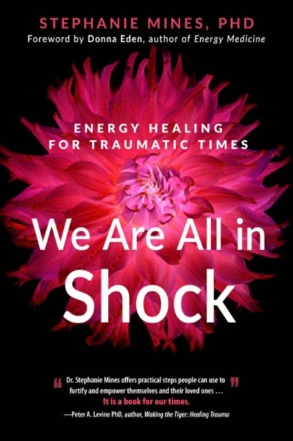 We are All in Shock av Stephanie (Stephanie Mines) Mines