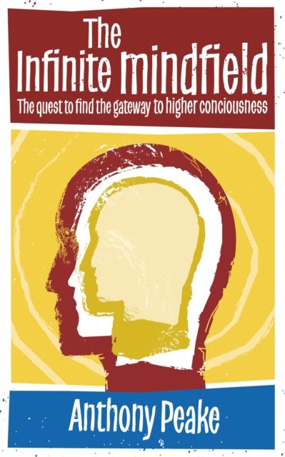 The Infinite Mindfield av Anthony Peake