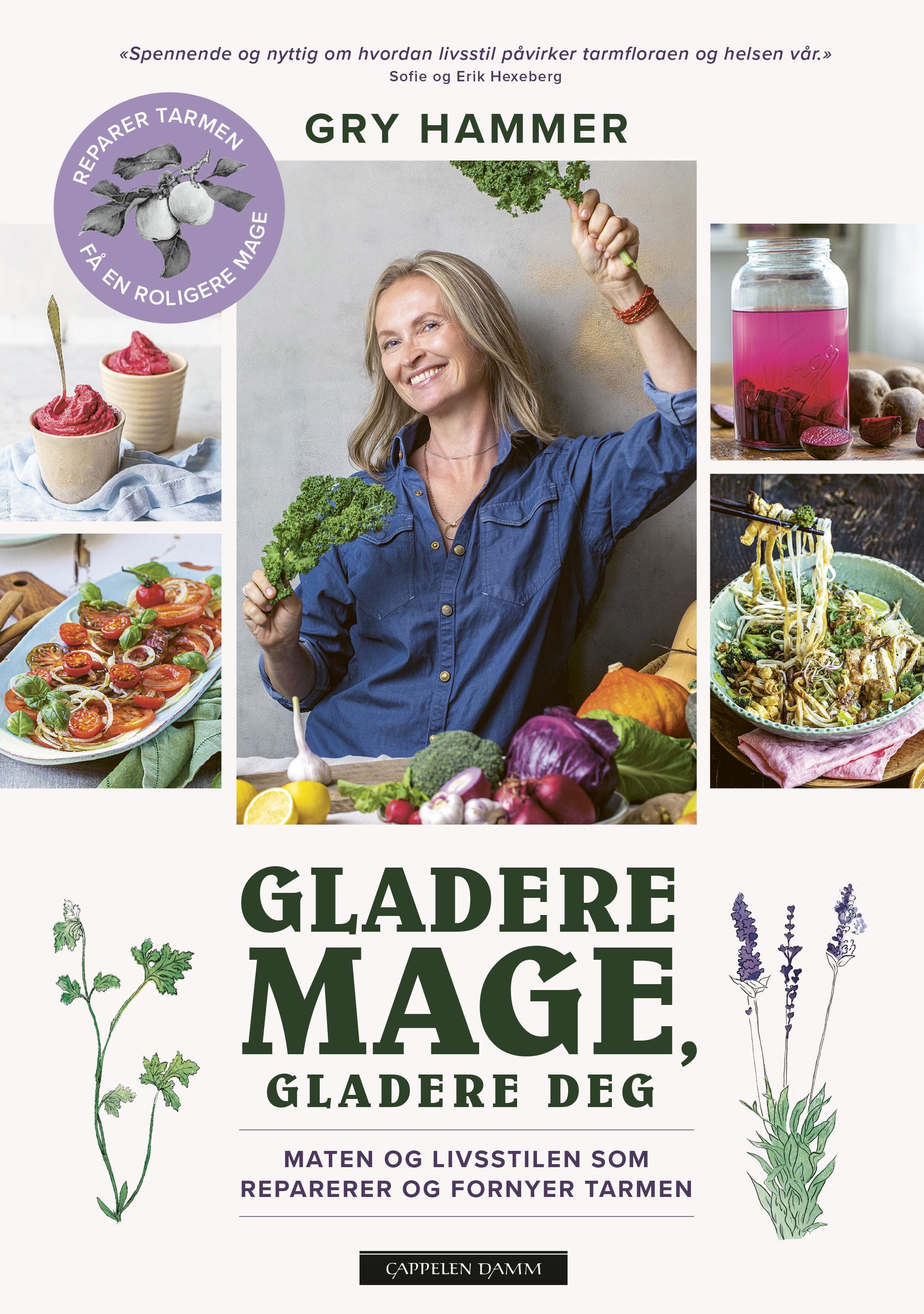 Gladere mage, gladere deg av Gry Hammer