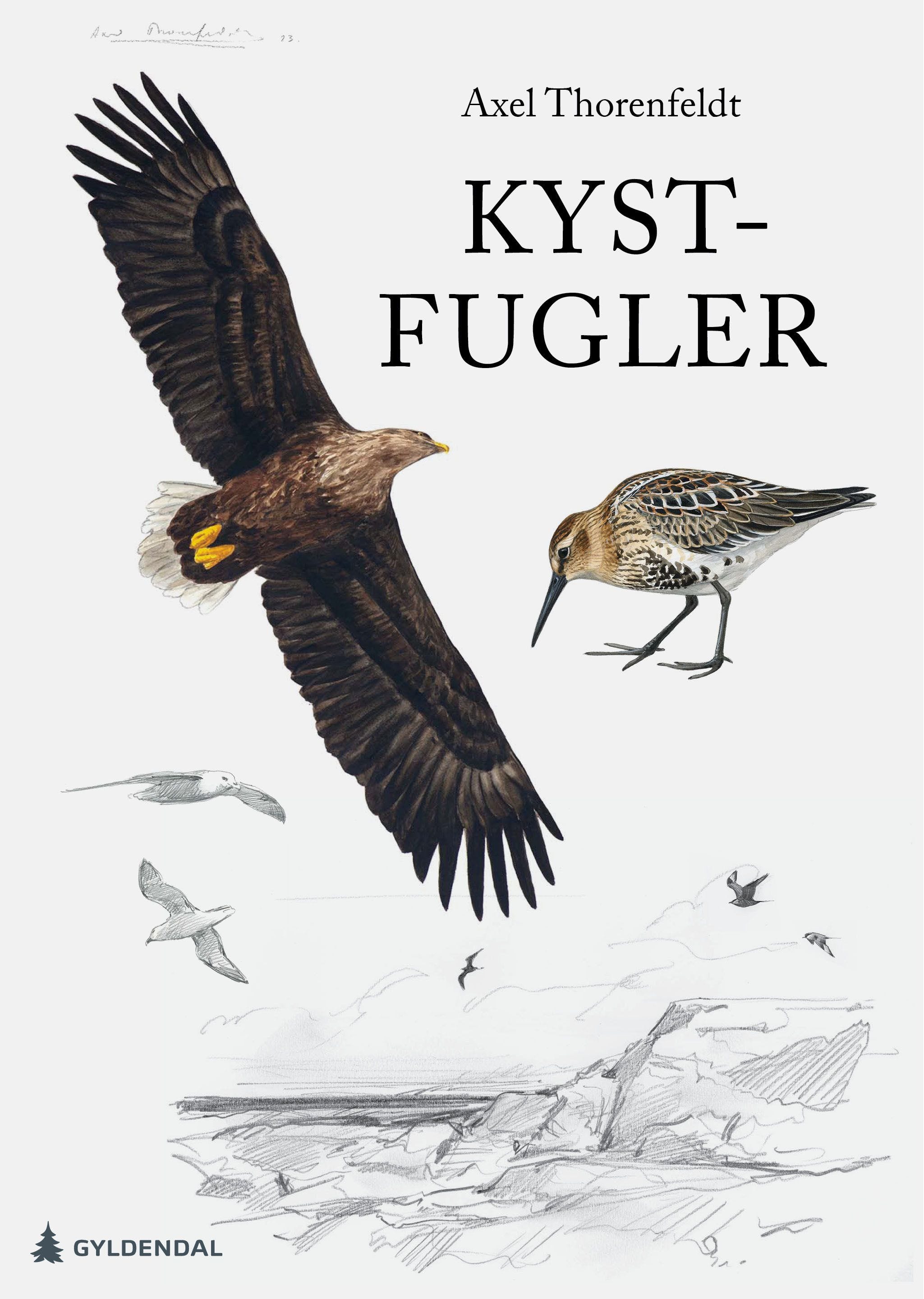 Kystfugler av Axel Emil Thorenfeldt