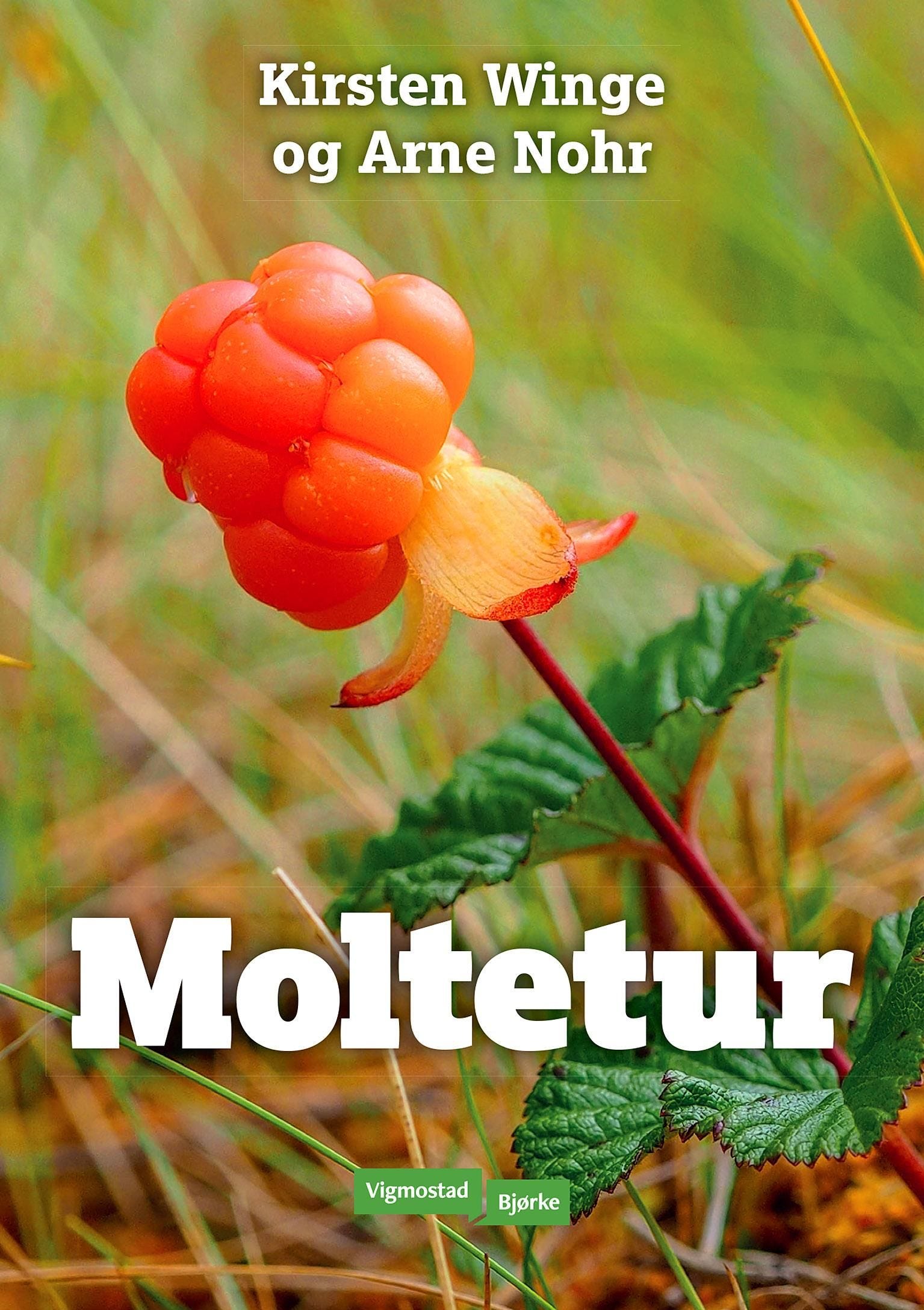 Moltetur av Kirsten Winge