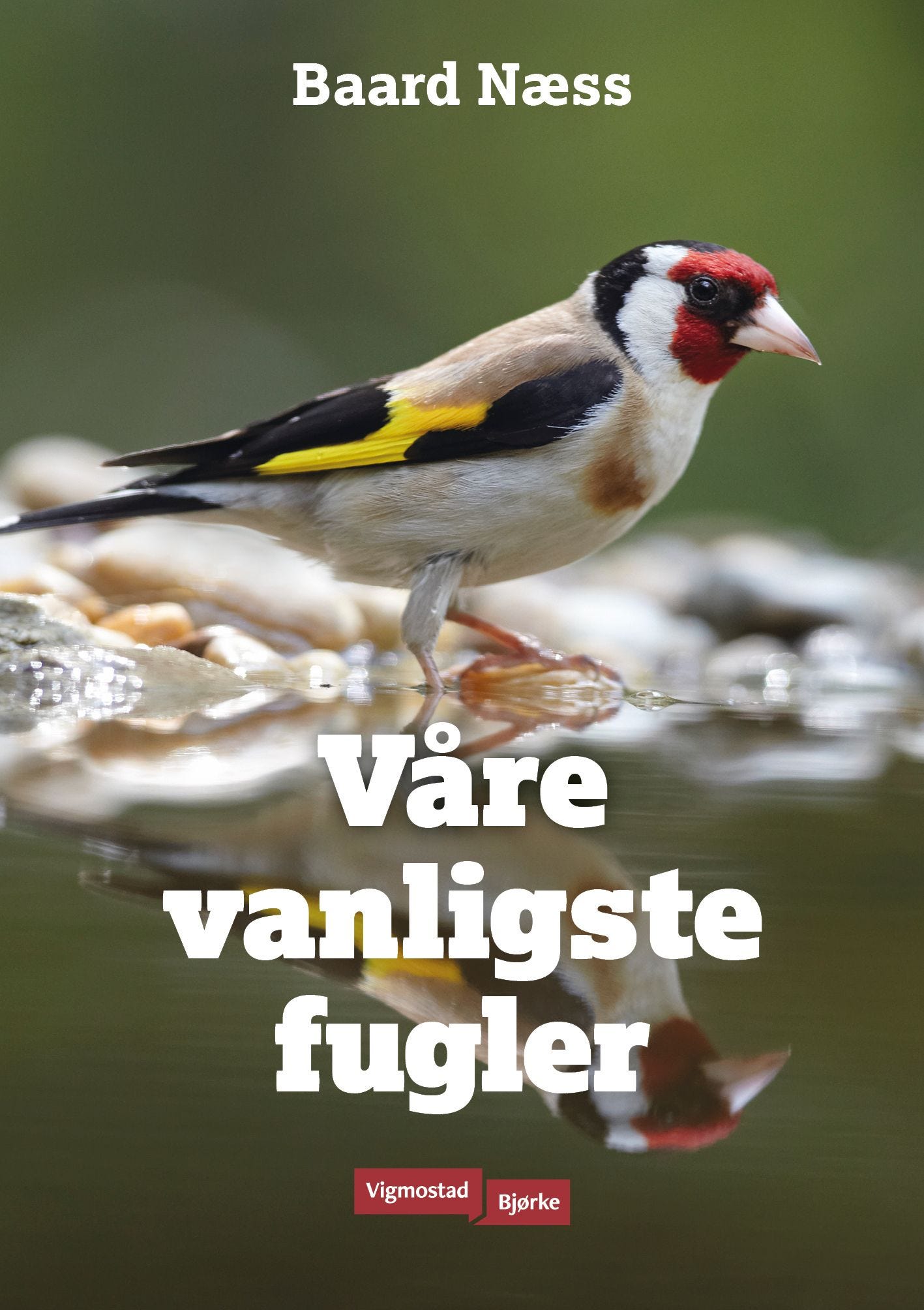 Våre vanligste fugler av Baard Næss