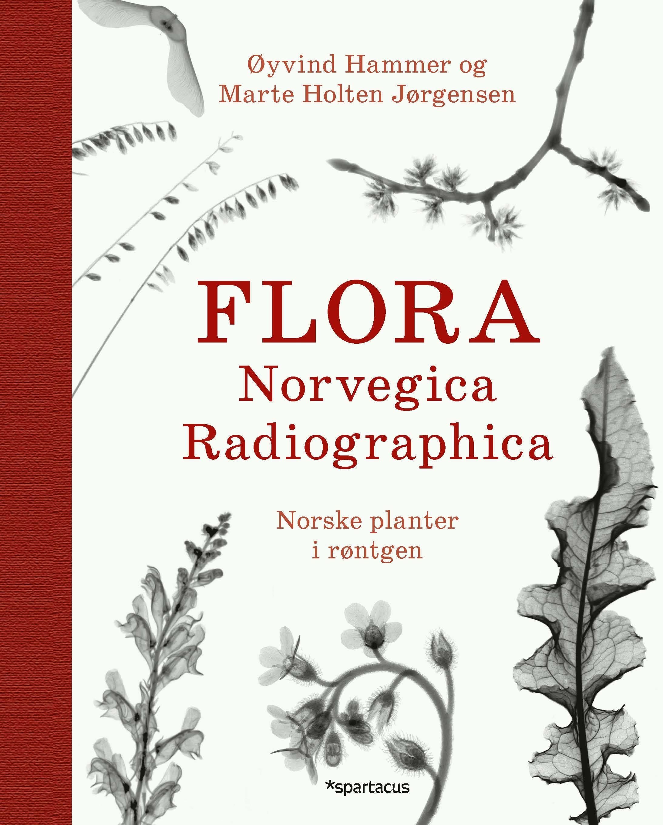 Flora Norvegica Radiographica av Øyvind Hammer, Marte Holten Jørgensen