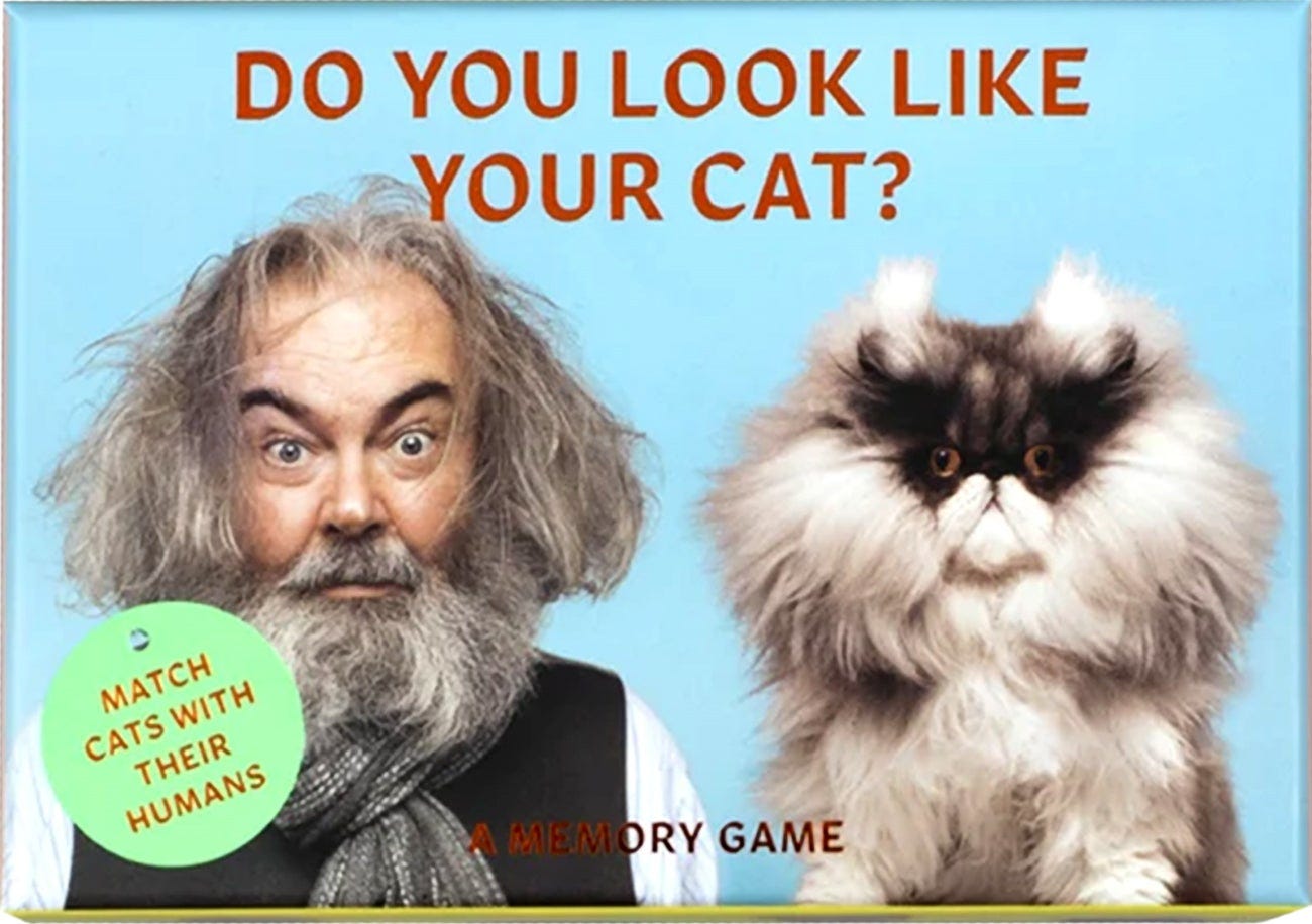 Spill Do You Look Like Your Cat Eng av Gerrard Gethings, Debora Robertson